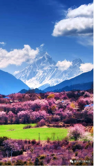 6268ae28db91d.png image.png