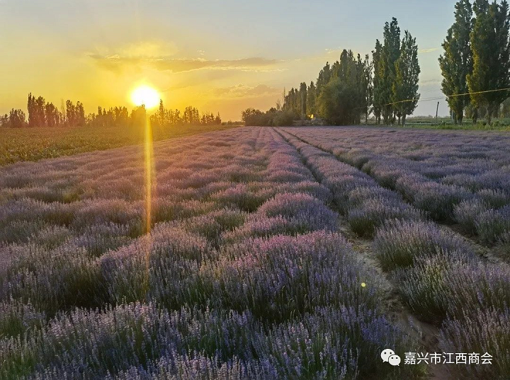 6268ae46069c7.png image.png