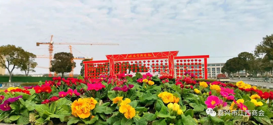 6268ae8198f8c.png image.png