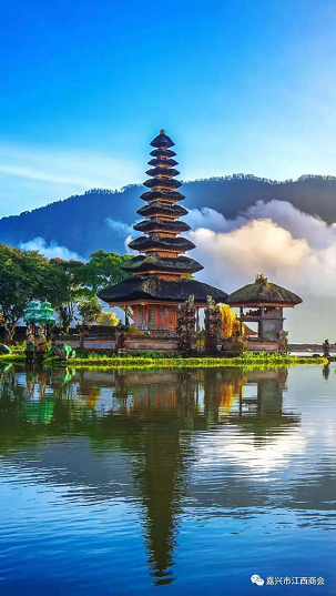 6268ae8b7cc8b.png image.png