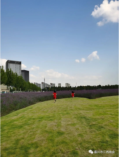 6268ae962f61c.png image.png